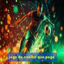 jogo do coelho que paga